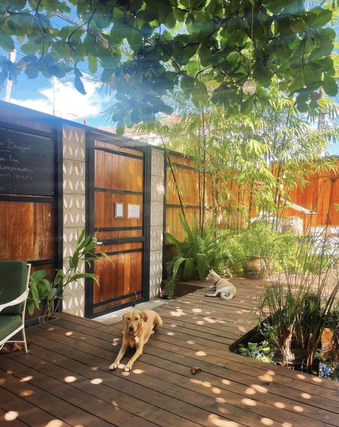 La Botanica Hotel 圣胡安 外观 照片